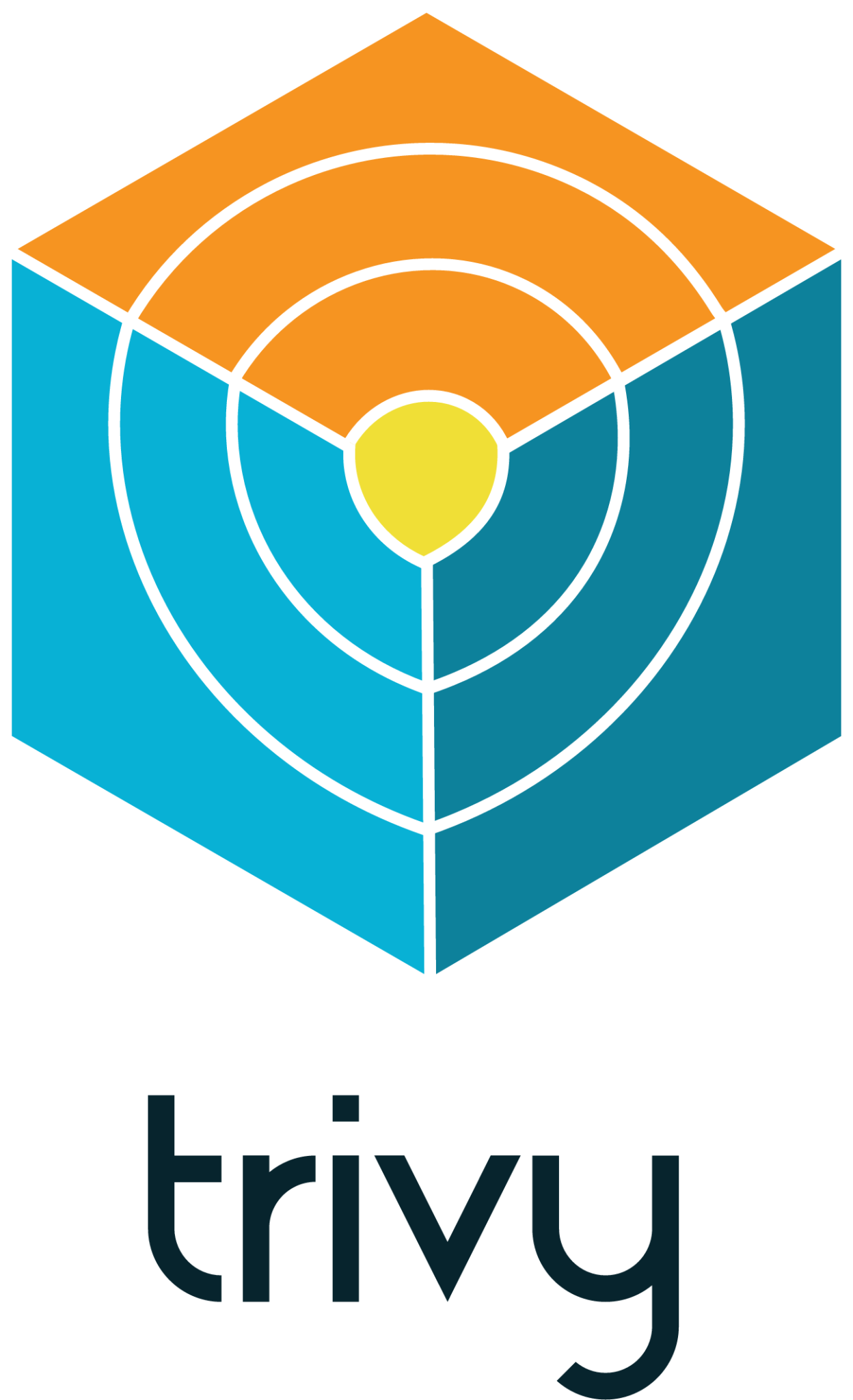 Trivy Logo